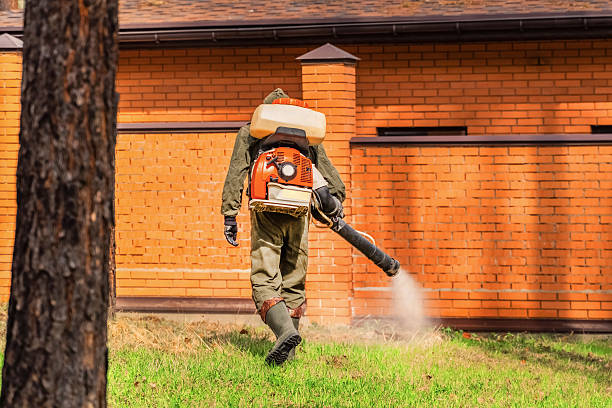 Bed Bug Clearance Verification and Documentation in Helmetta